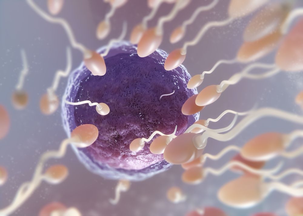 Zašto je najpouzdaniji spermogram iz embriološke laboratorije